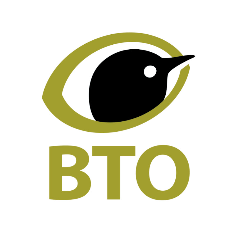 BTOvideo icon