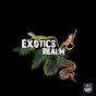 Exotics Realm logo