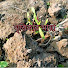 IBsLFARt4yw-channel-avatar-মৃত্তিকার মায়া