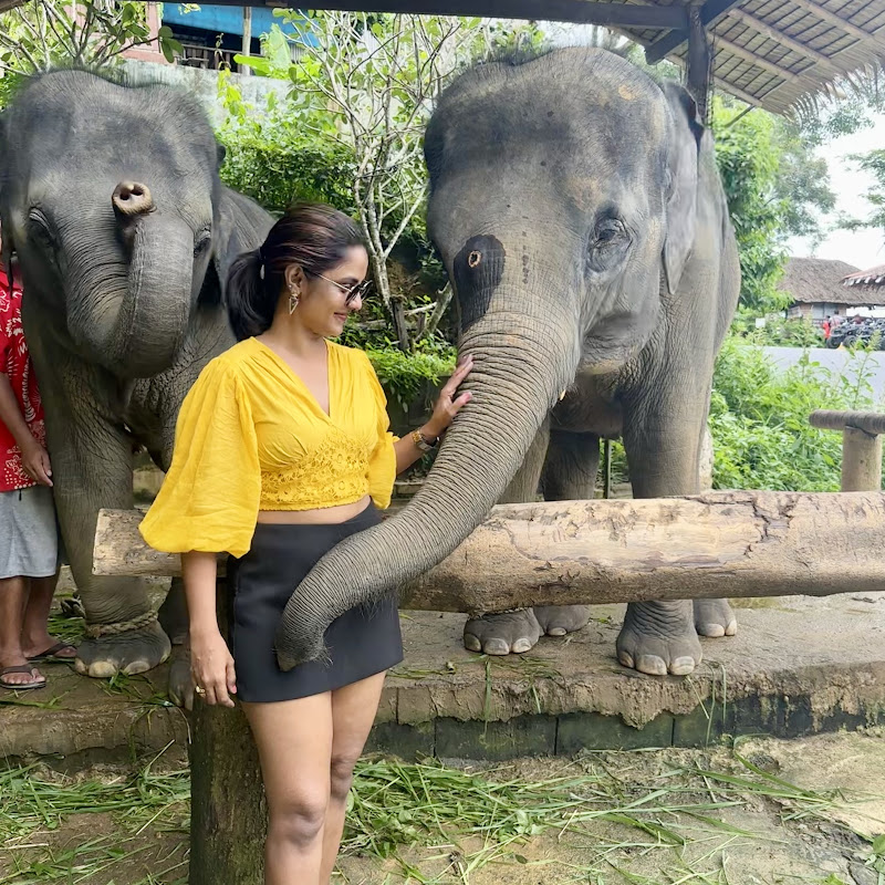 Divyas World