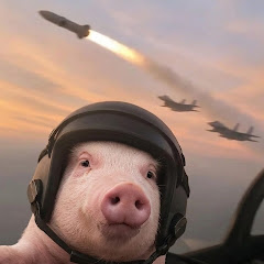 Axelon