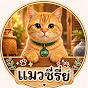 แมวซีรี่ย์