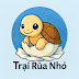 Trại rùa nhỏ
