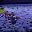 @FinnedFusion Avatar
