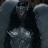 @ivyaria's avatar