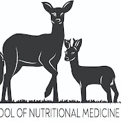 The New School of Nutritional Medicine