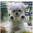 @비-u6h
