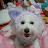 @스론-x5p