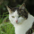 m1j96KTi_ks-channel-avatar-Never click