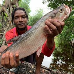 1jimmy  Smith tv  Avatar