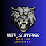 3inHJReT230-channel-avatar-Nite_Slayer99