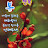 @장성구-w5u장성구