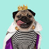 What could Doug the Pug buy with $212.56 thousand?