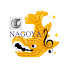 2VgrD_rgjak-channel-avatar-nagoyanosyachio