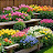 @shai_gardens Avatar