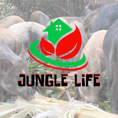 Life In Forest