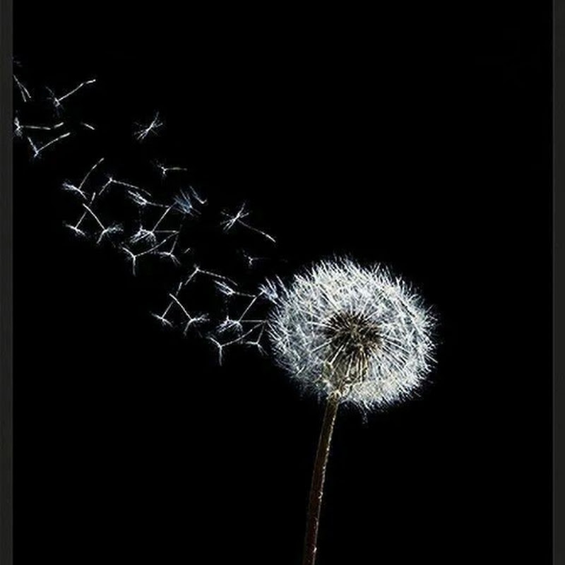 MarinaOnly 🎶🎵 MarikaToOo