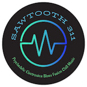 Sawtooth Synth 311: Electronica, EDM, Blues Fusion