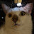 youtube avatar
