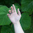 @m0sshroom's avatar