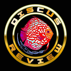 Discus Review