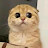 @tash_views's avatar