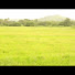 yJUWj-ZxfaU-channel-avatar-GOENCHI MATI CHANNEL 