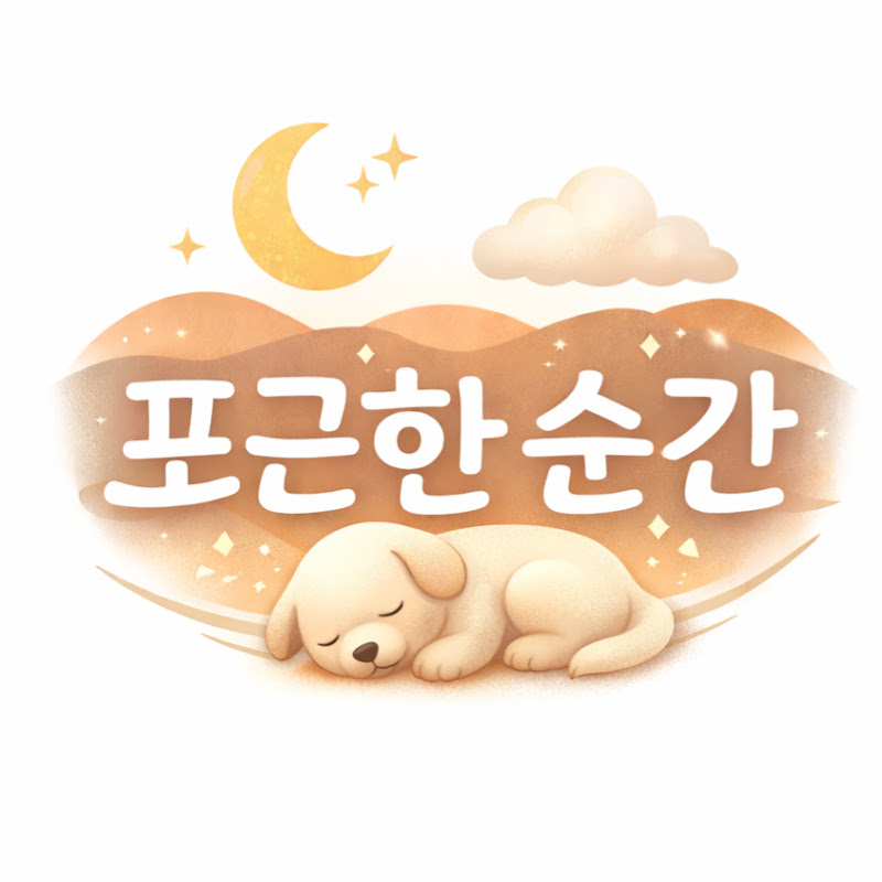 포근한순간 avatar