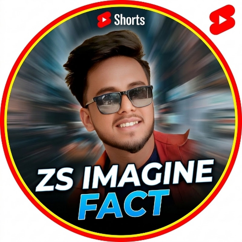 ZS IMAGINE FACT