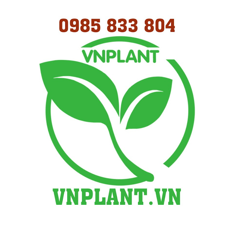 Vnplant