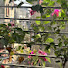 u8wZokUhPaU-channel-avatar-soyata 