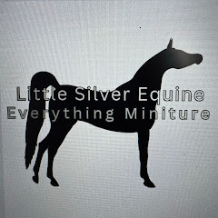 Little Silver Equine