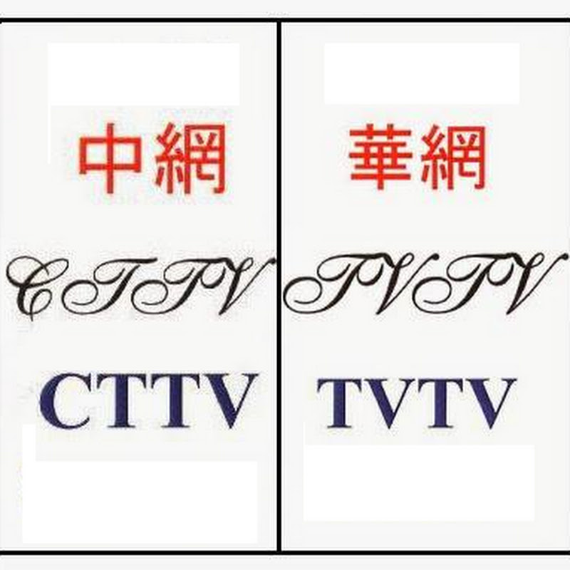台網TNTV中網CTTV華網TVTV中華網TVCS陸視MLTV陸網TVTS民網TVPS