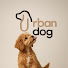 YZ_ESfg2Dl4-channel-avatar-URBAN DOG - все о груминге