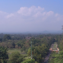 reynaramadhan2513
