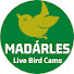 Madarles - Live Bird Cams