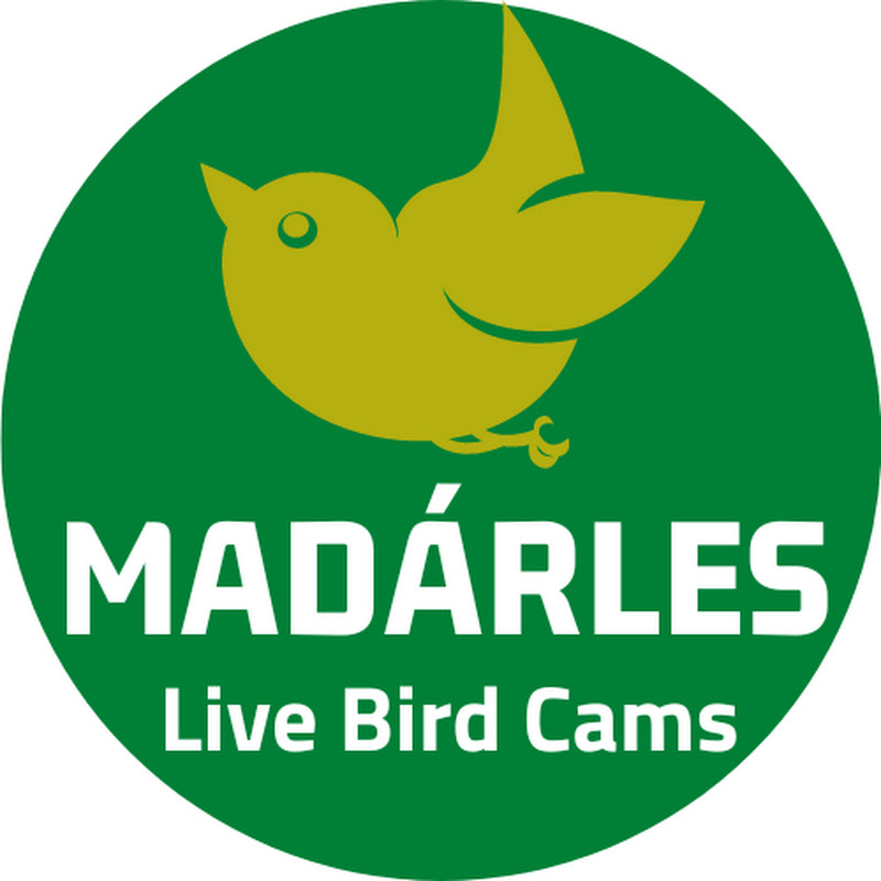 Madarles - Live Bird Cams