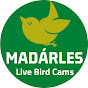 Madarles - Live Bird Cams logo