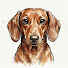EBlLDtDZSCQ-channel-avatar-Dachshund Daily