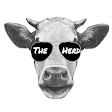 The Herd