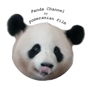 (ぽめぱん)Panda Channel by pomeranian film