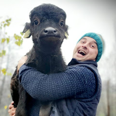 ORĂȘEAN LA ȚARĂ! Avatar