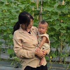 Triệu Tử Anh