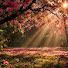 2SMzDlERPmk-channel-avatar-آيات