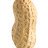 @peanut-j7n