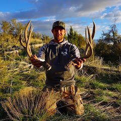 Western Muleys