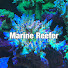 j44hZEk-Ld8-channel-avatar-Marine Reefer