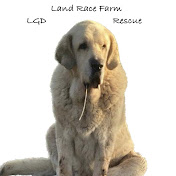 Land Race Farm LGD Rescue