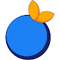 Blue Orange France