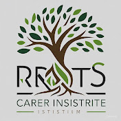Roots Career Institute 